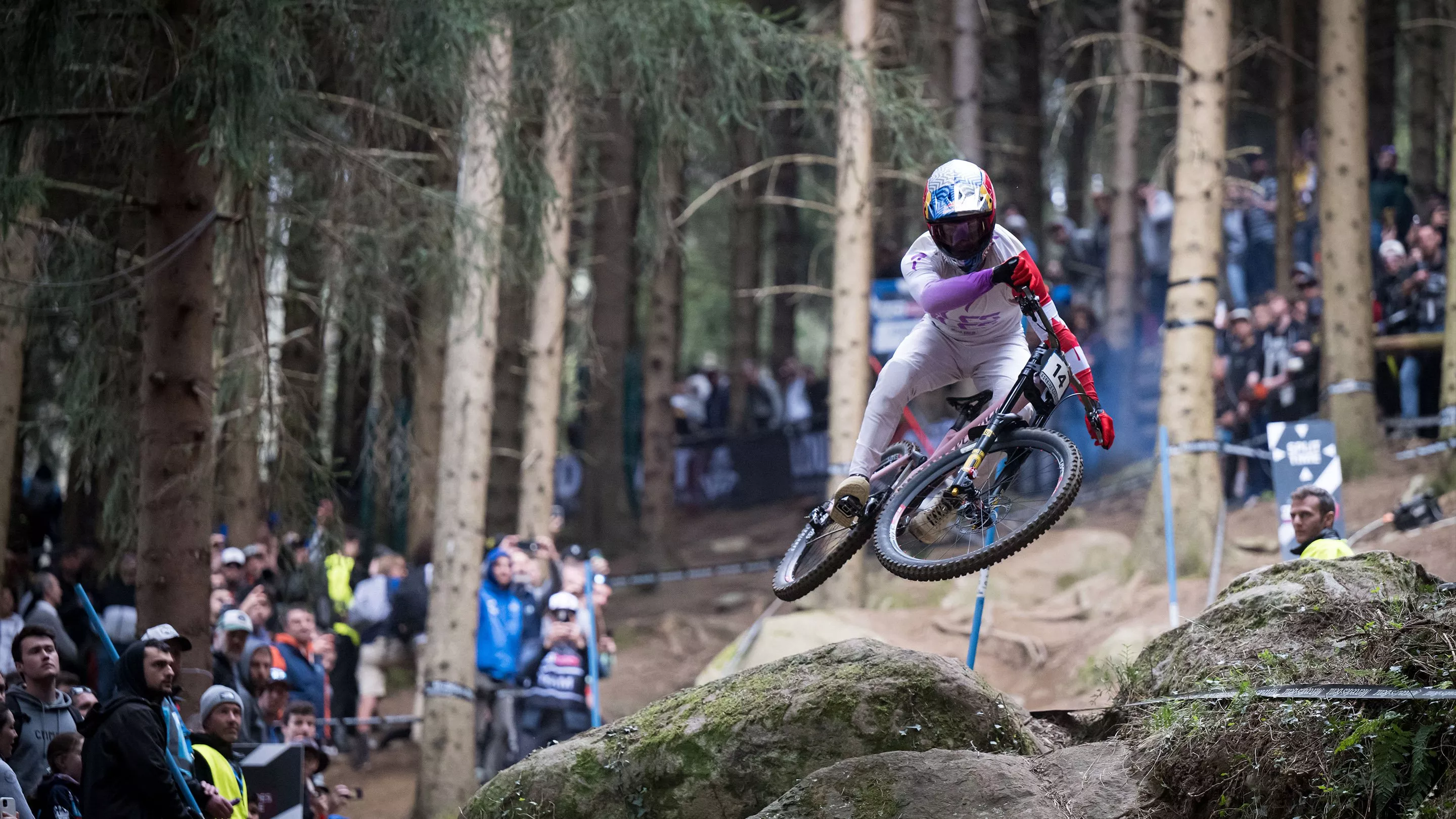 Specialized Cannibal Grid Gravity 2Bliss Ready T9 • MTB-Reifen