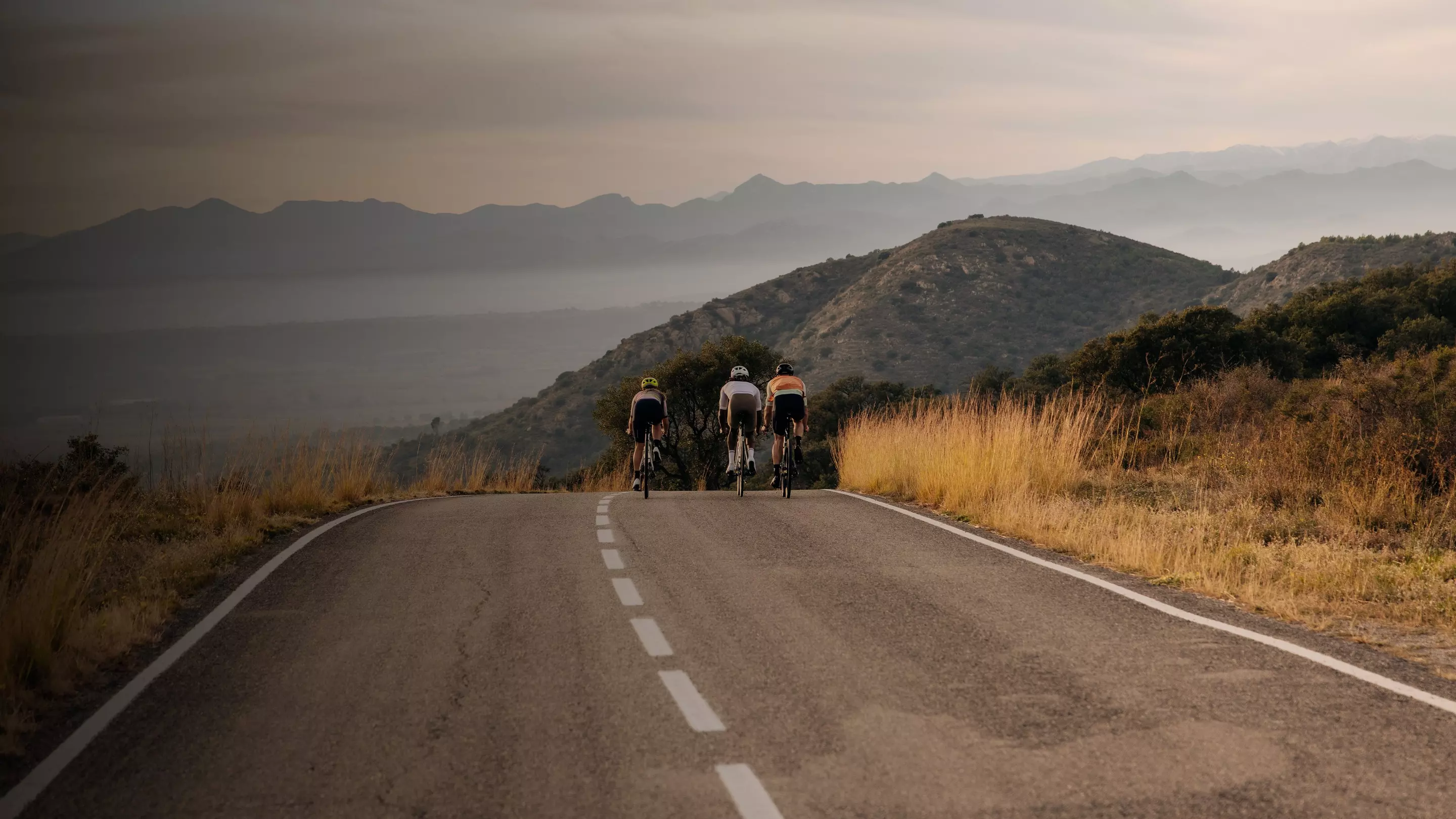 Specialized Loma • Rennrad-Helm