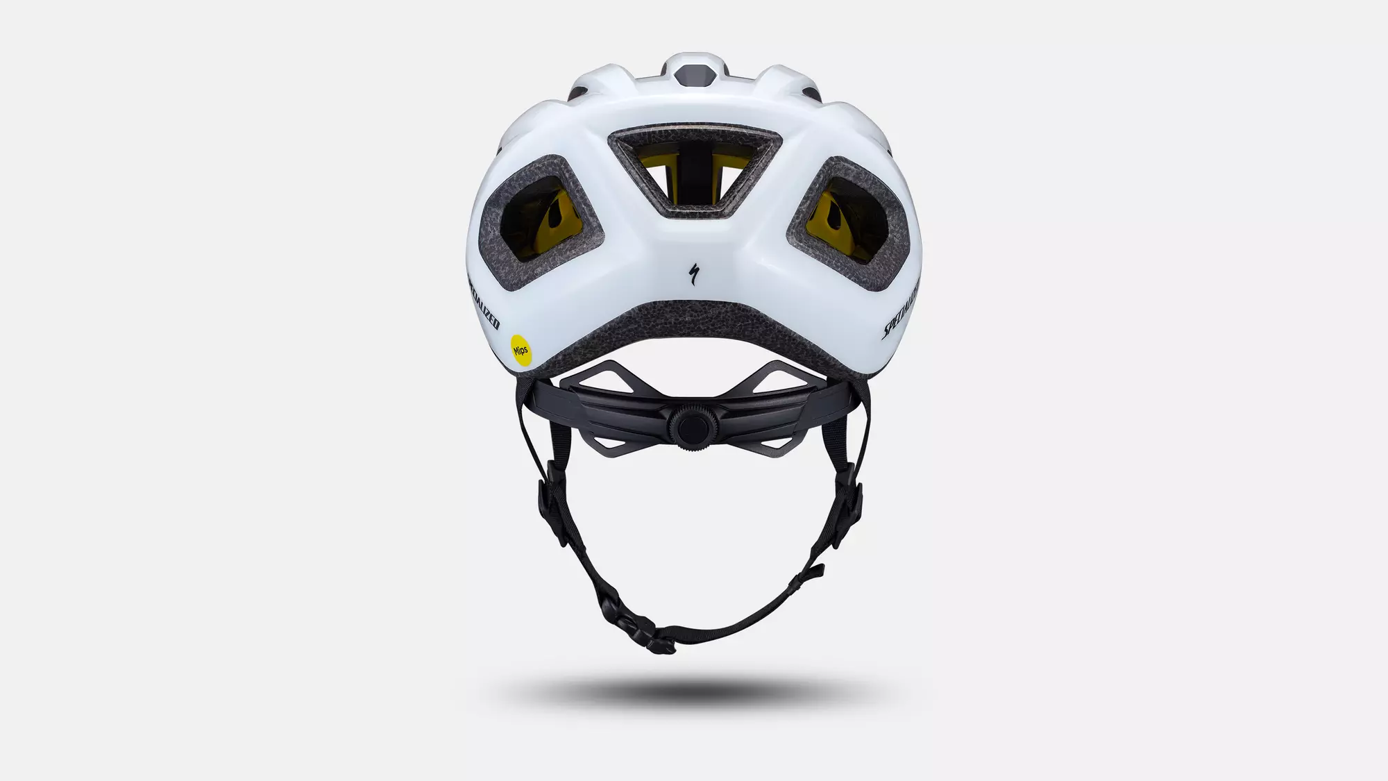 Specialized Chamonix 3