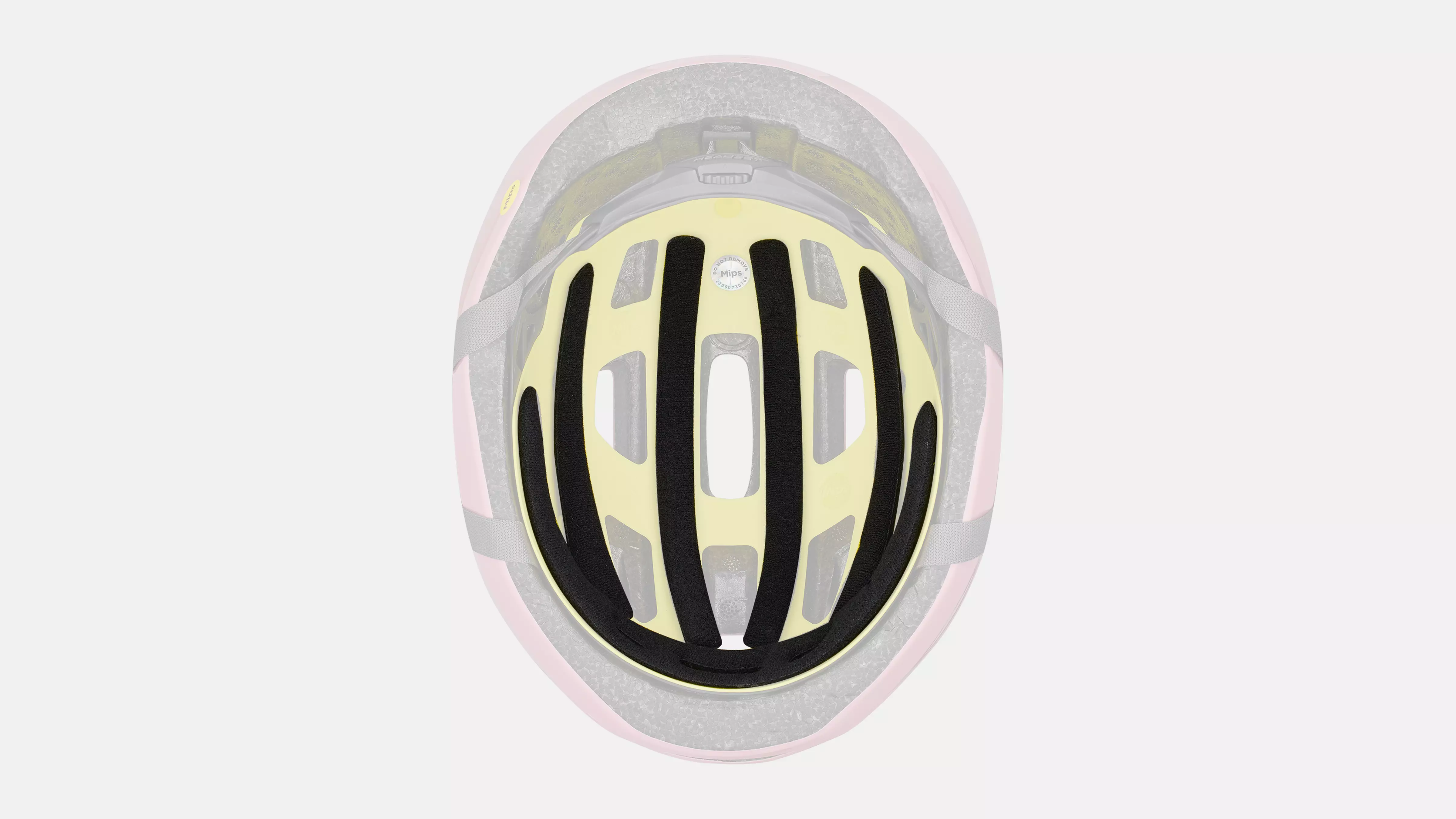 Specialized Align II • Every-Day-Helm