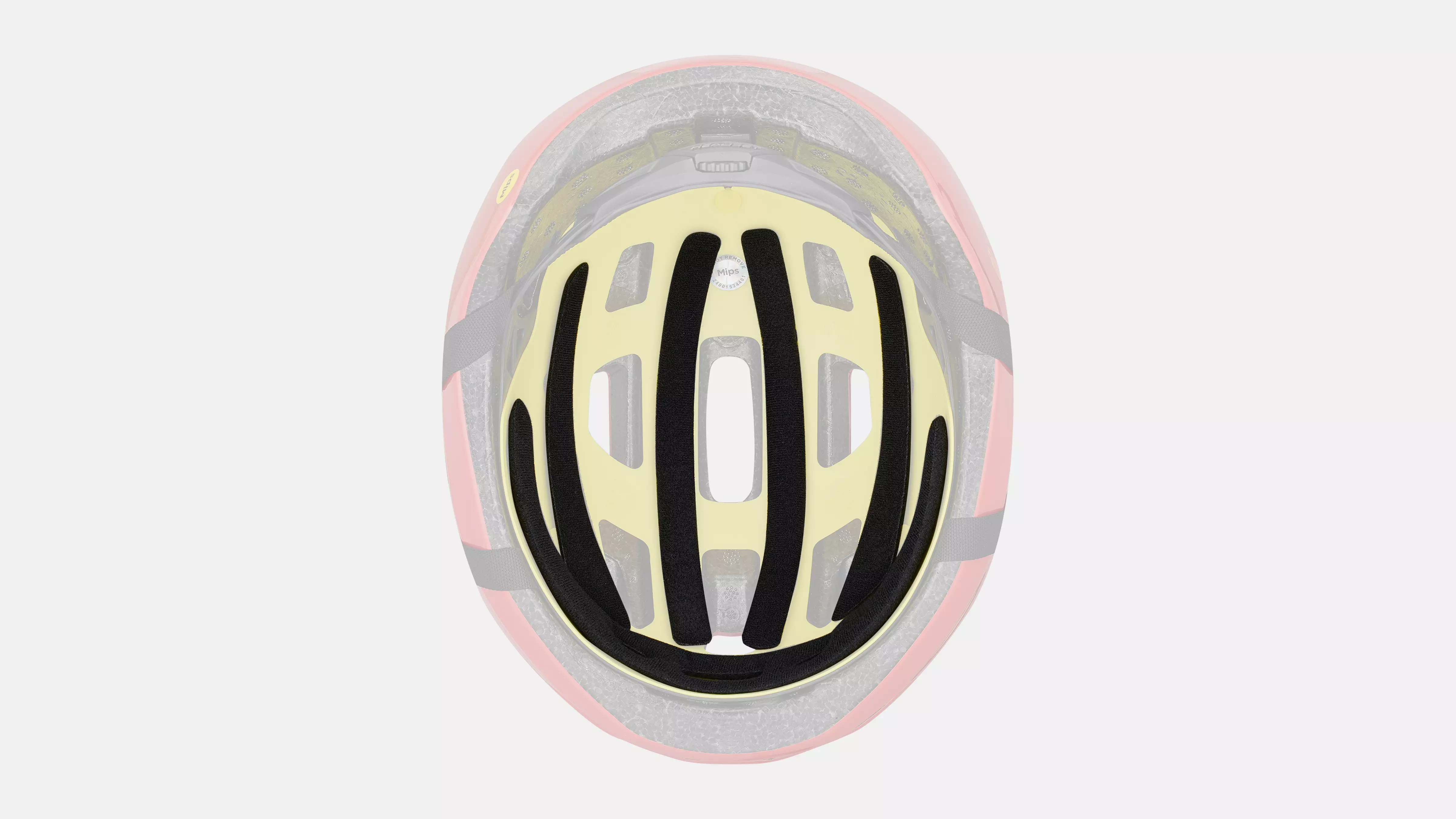 Specialized Align II • Every-Day-Helm