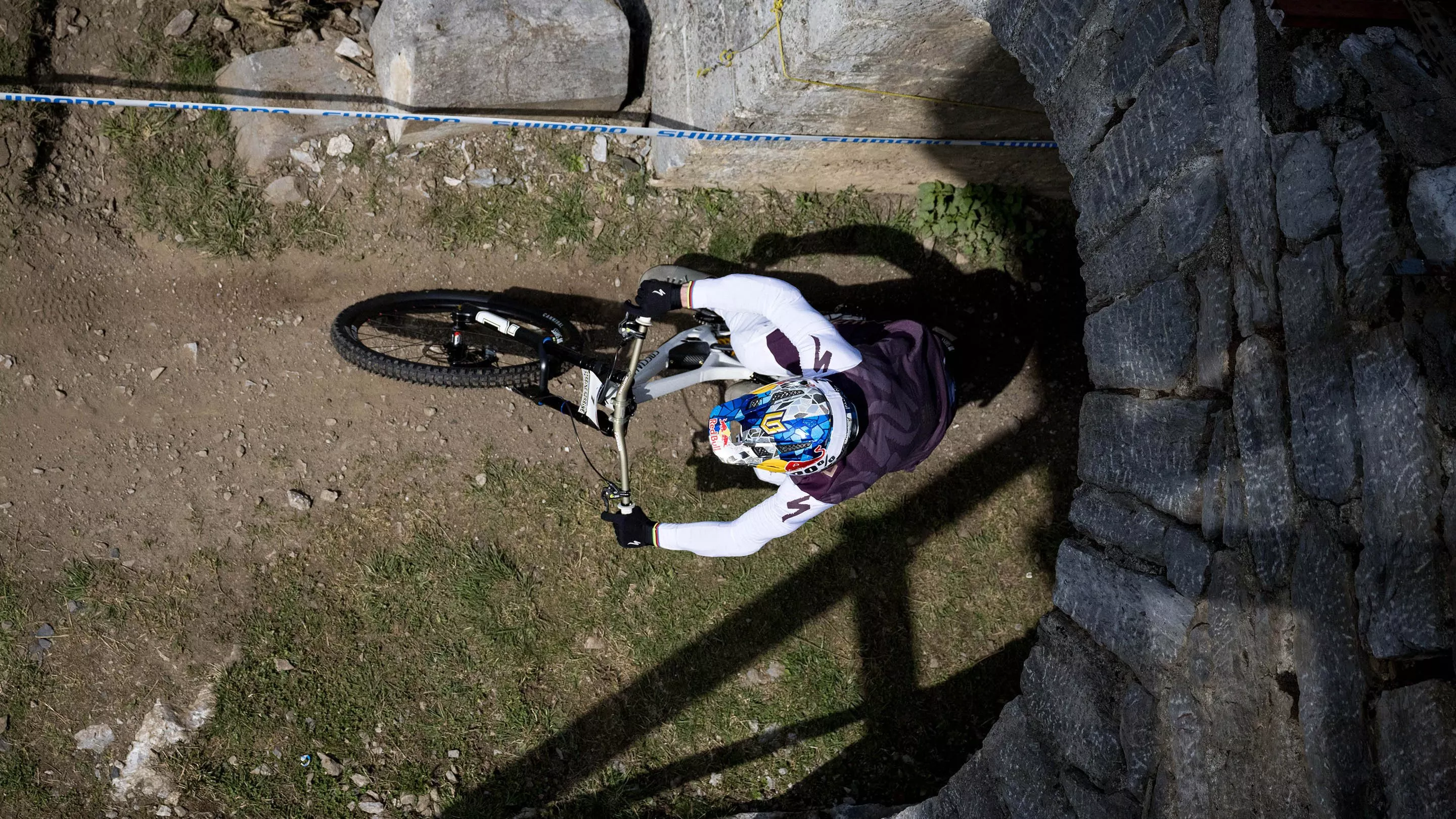 Specialized Cannibal Grid Gravity 2Bliss Ready T9 • MTB-Reifen