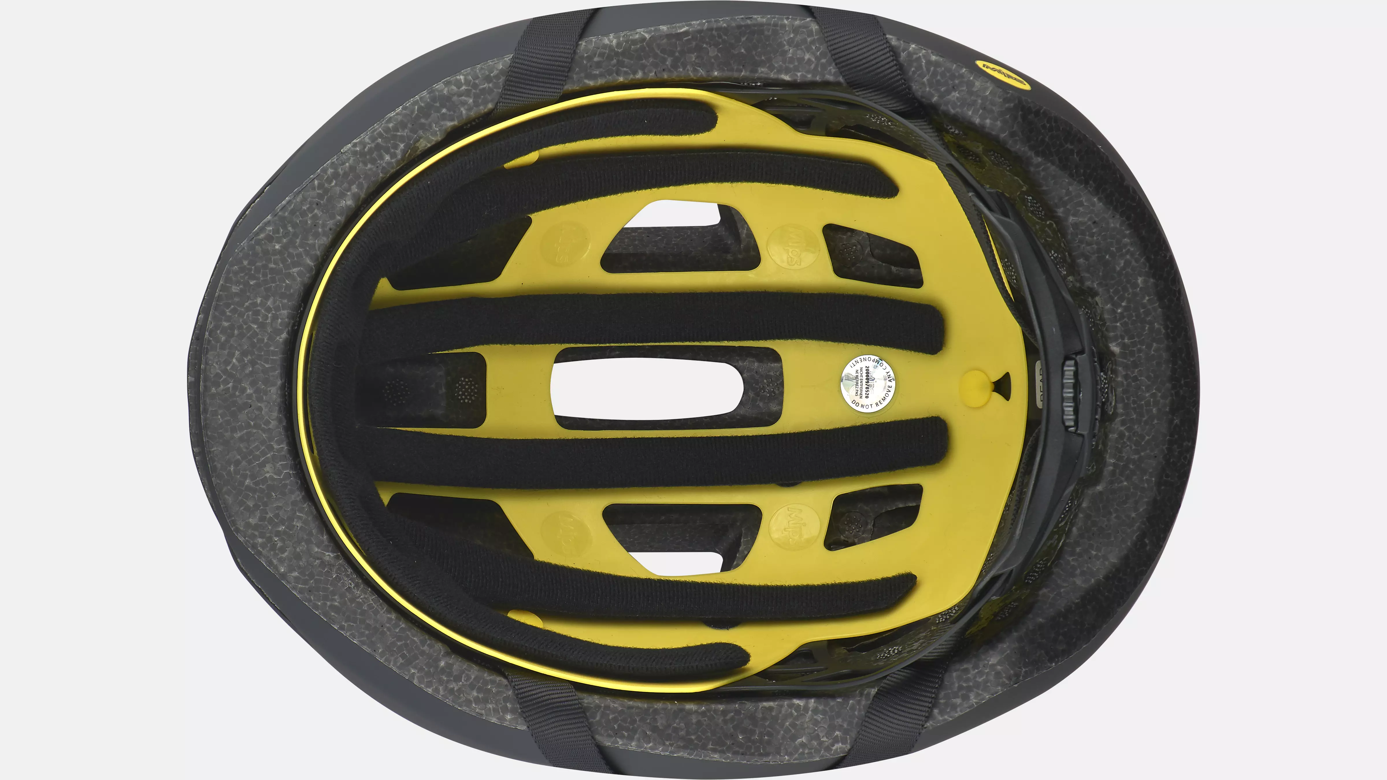 Specialized Align II • Every-Day-Helm