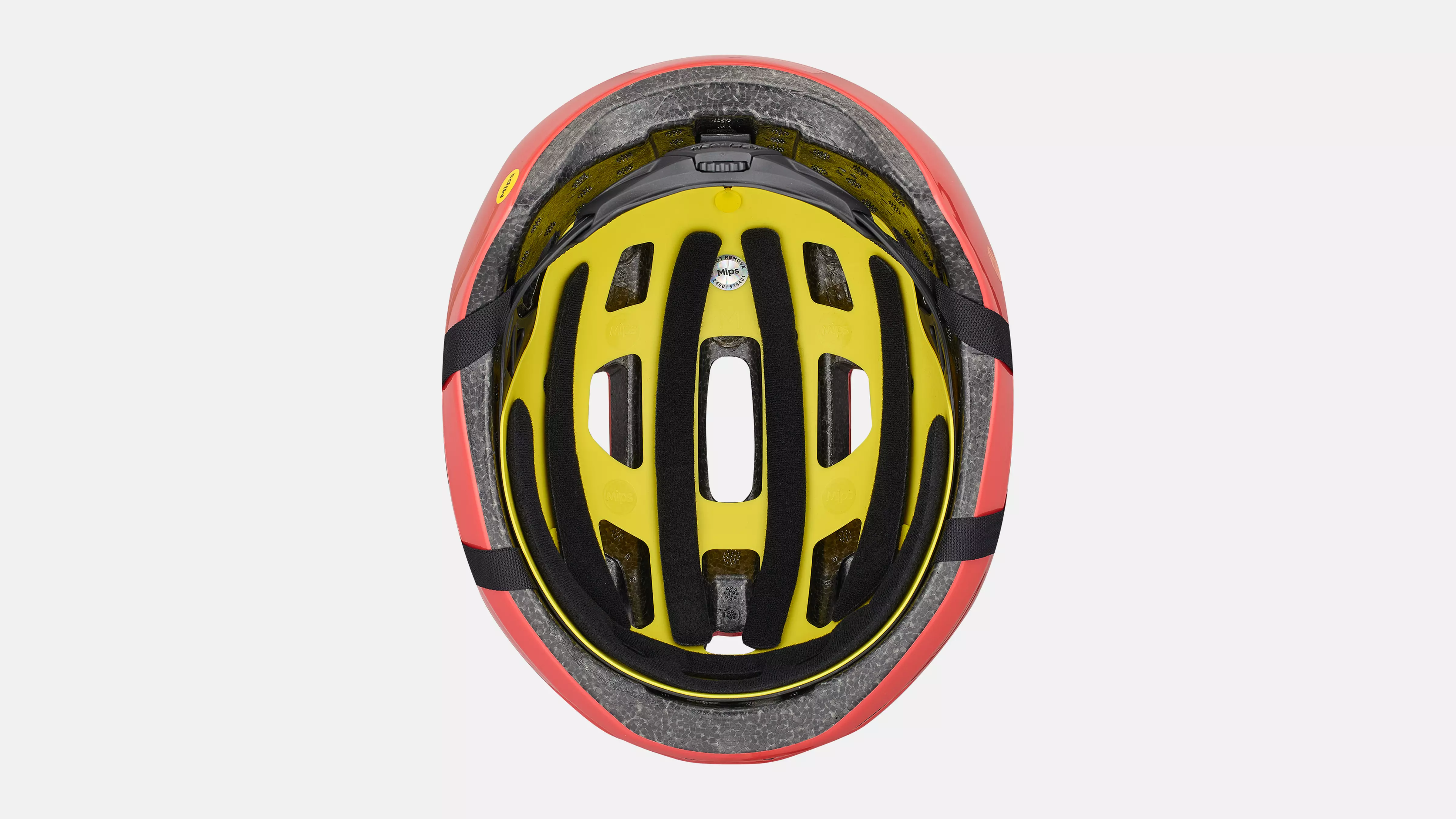 Specialized Align II • Every-Day-Helm