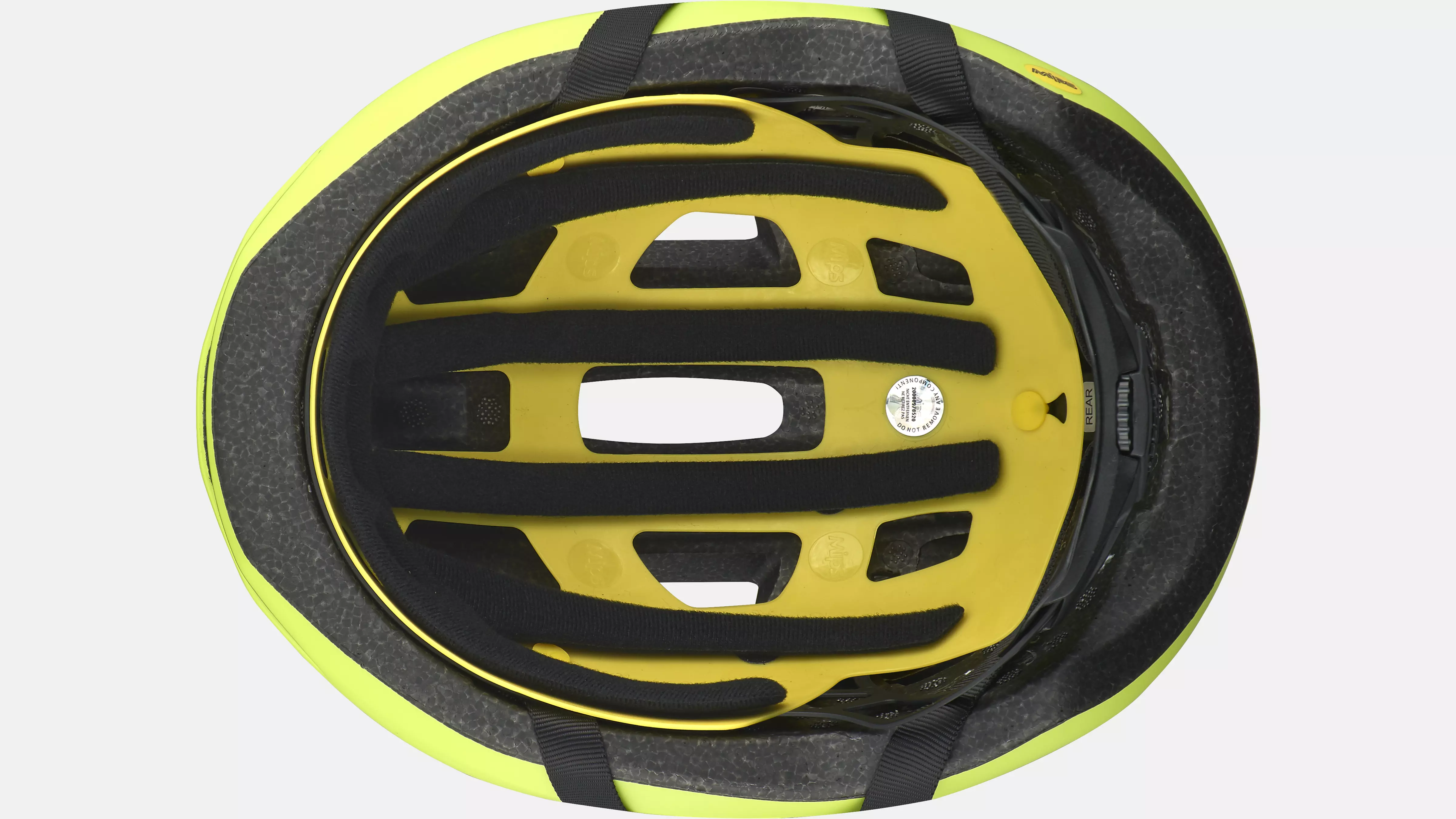 Specialized Align II • Every-Day-Helm